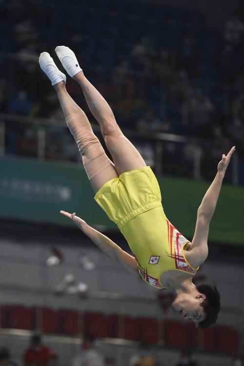 北京奥运会蹦床决赛视频